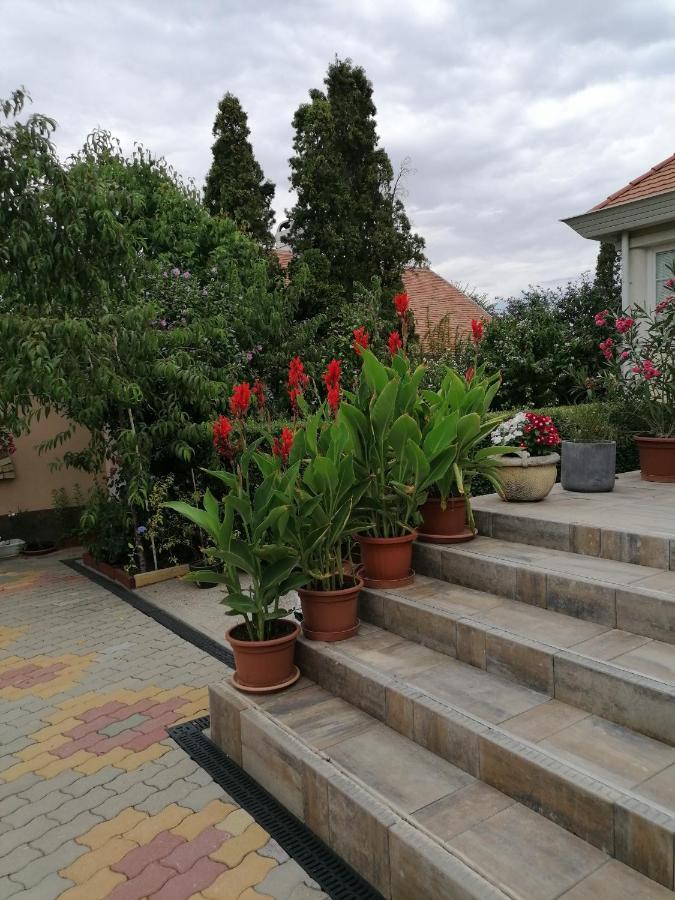 Kaktuszvirag Apartmanhaz Hajduszoboszlo Bagian luar foto