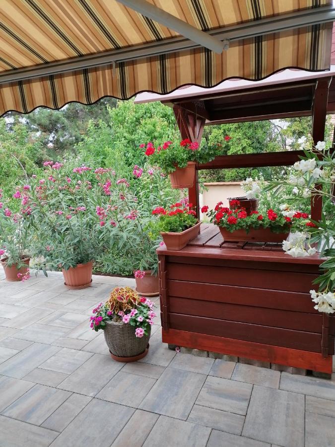 Kaktuszvirag Apartmanhaz Hajduszoboszlo Bagian luar foto