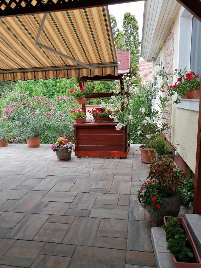 Kaktuszvirag Apartmanhaz Hajduszoboszlo Bagian luar foto