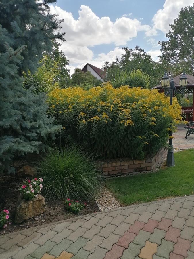 Kaktuszvirag Apartmanhaz Hajduszoboszlo Bagian luar foto