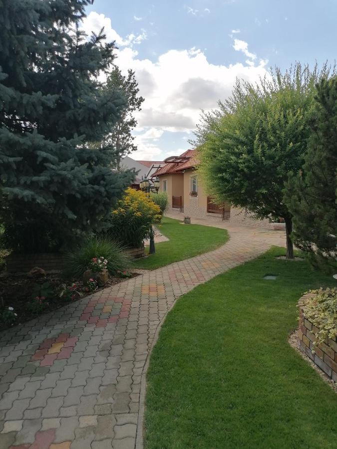 Kaktuszvirag Apartmanhaz Hajduszoboszlo Bagian luar foto